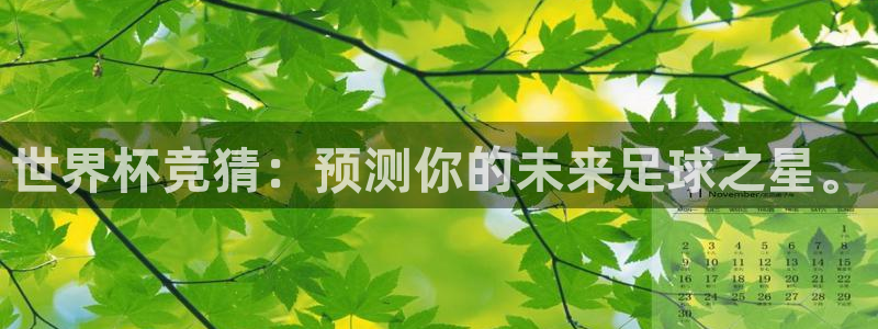 世界杯对阵图2026:世界杯竞猜:预测你的未来足球之星。