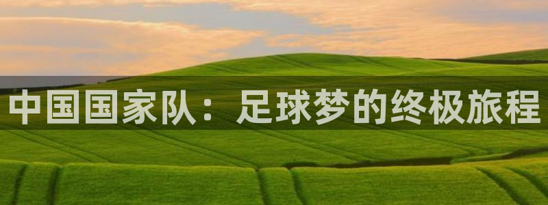 世界杯球赛:中国国家队:足球梦的终极旅程