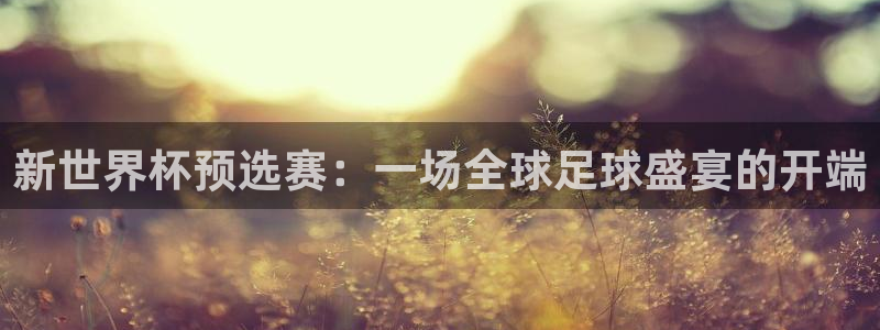 2026世界杯足球赛程时间表:新世界杯预选赛:一场全球足球盛宴的开端