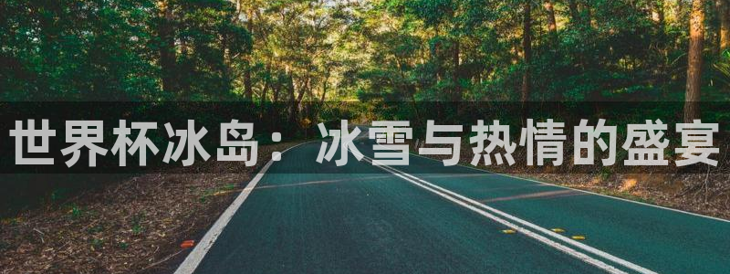 2026世界杯亚洲区预选赛:世界杯冰岛:冰雪与热情的盛宴