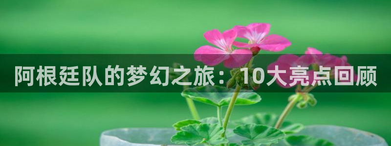 世界杯官网:阿根廷队的梦幻之旅:10大亮点回顾