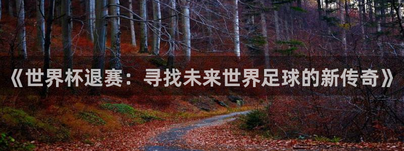 法国杯2026赛程表:《世界杯退赛:寻找未来世界足球的新传奇》