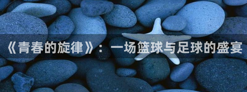 世界杯比赛时间:《青春的旋律》:一场篮球与足球的盛宴